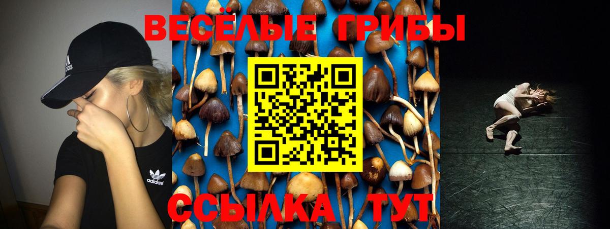 Галлюциногенные грибы Psilocybine cubensis Миасс