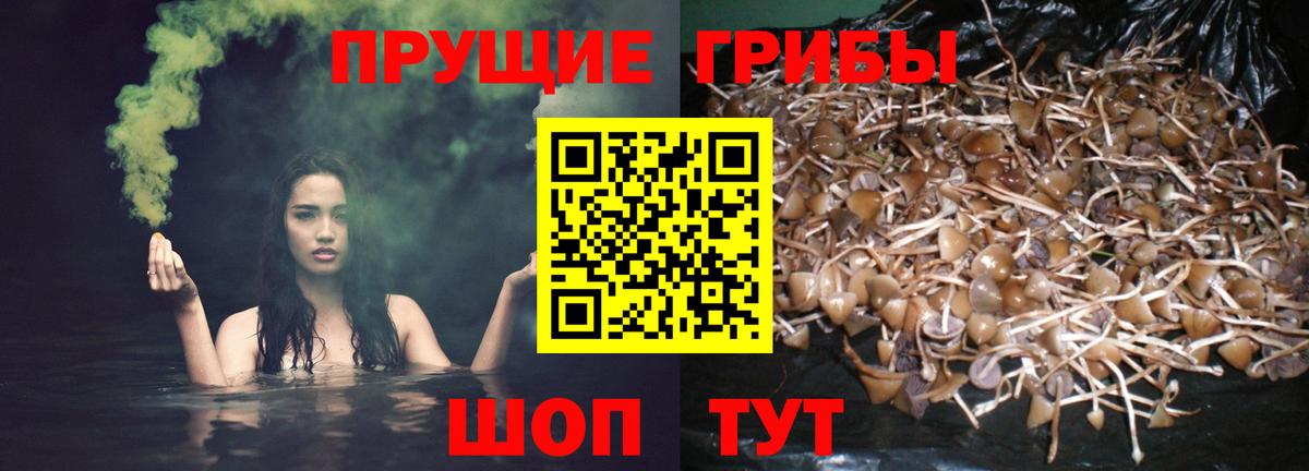 где найти   Псилоцибиновые грибы Magic Shrooms  Вход с VPN  Галлюциногенные грибы Psilocybine cubensis  Миасс 